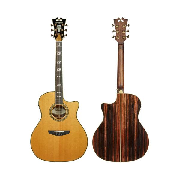 Dangelico Excel Series Acoustic Guitar