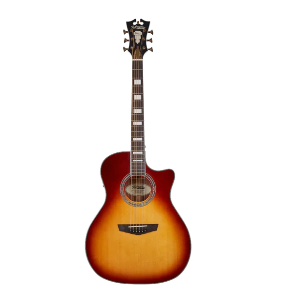 D'Angelico Acoustic Guitar Premier Series