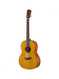 Acoustic Guitar